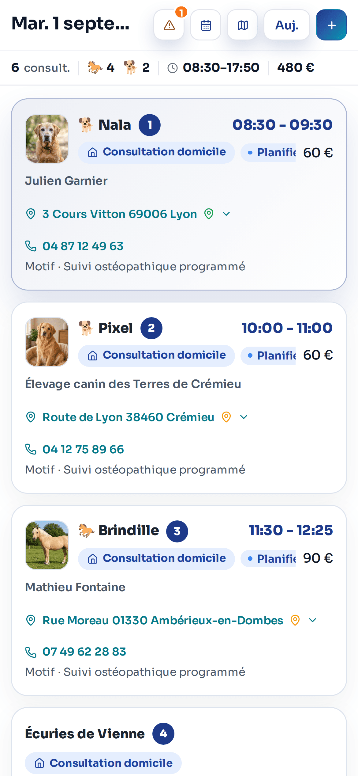 Programme de la journée AniMoov sur téléphone
