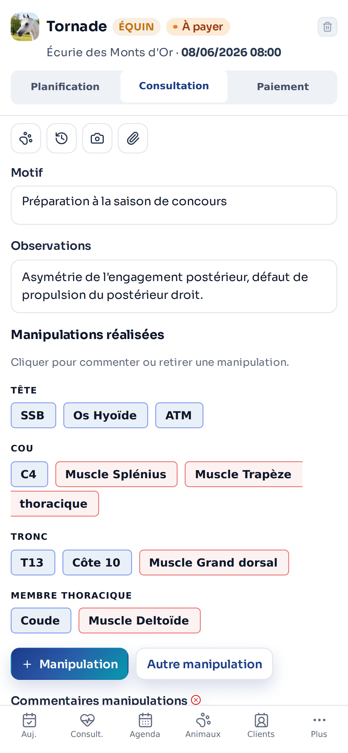 Consultation équine AniMoov sur téléphone avec observations et manipulations