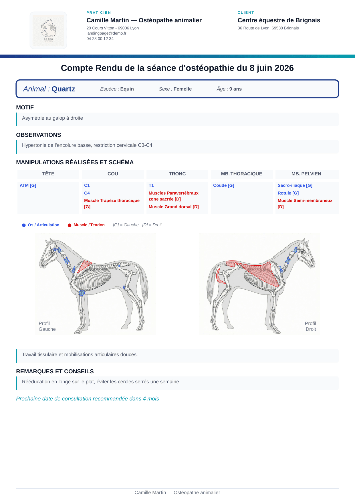Exemple de compte rendu équin AniMoov avec observations et schémas anatomiques annotés